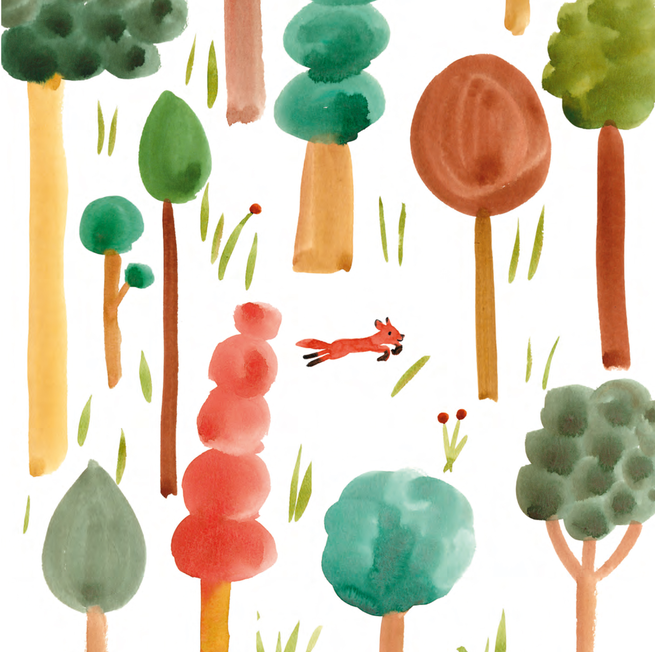 Livre - Mon imagier à raconter