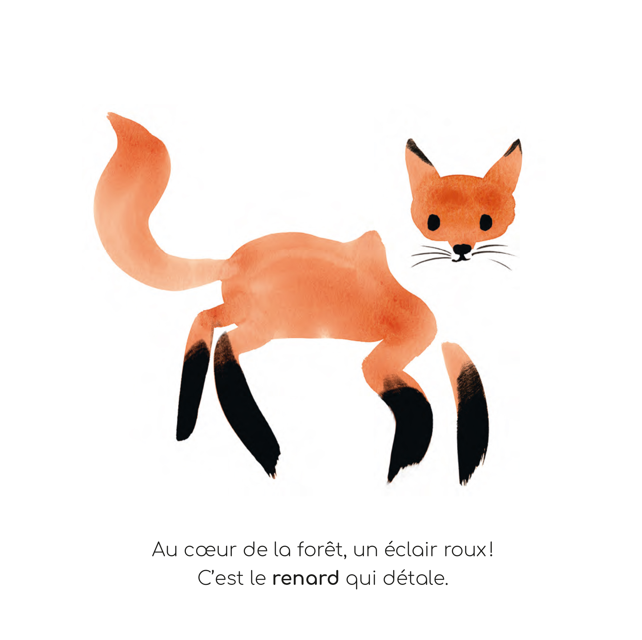 Livre - Mon imagier à raconter