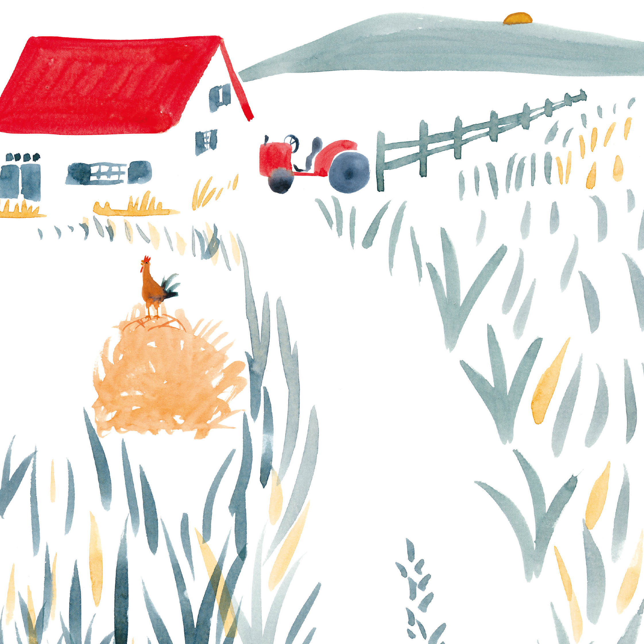 Livre - Mon imagier à raconter