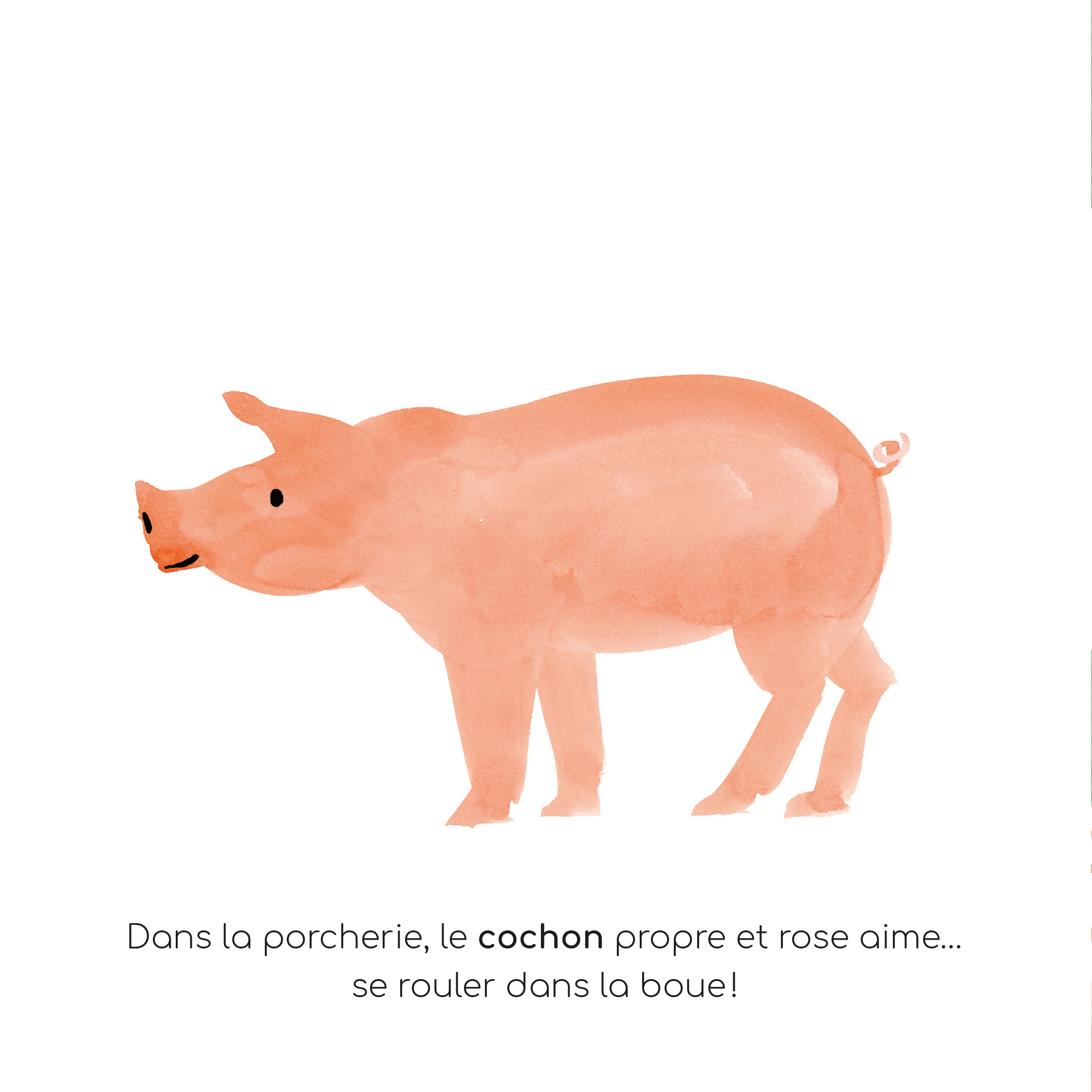 Livre - Mon imagier à raconter