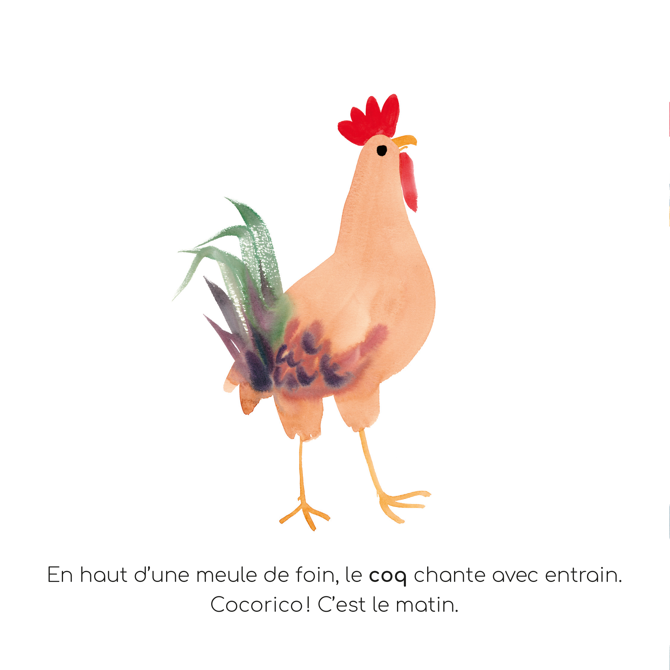 Livre - Mon imagier à raconter