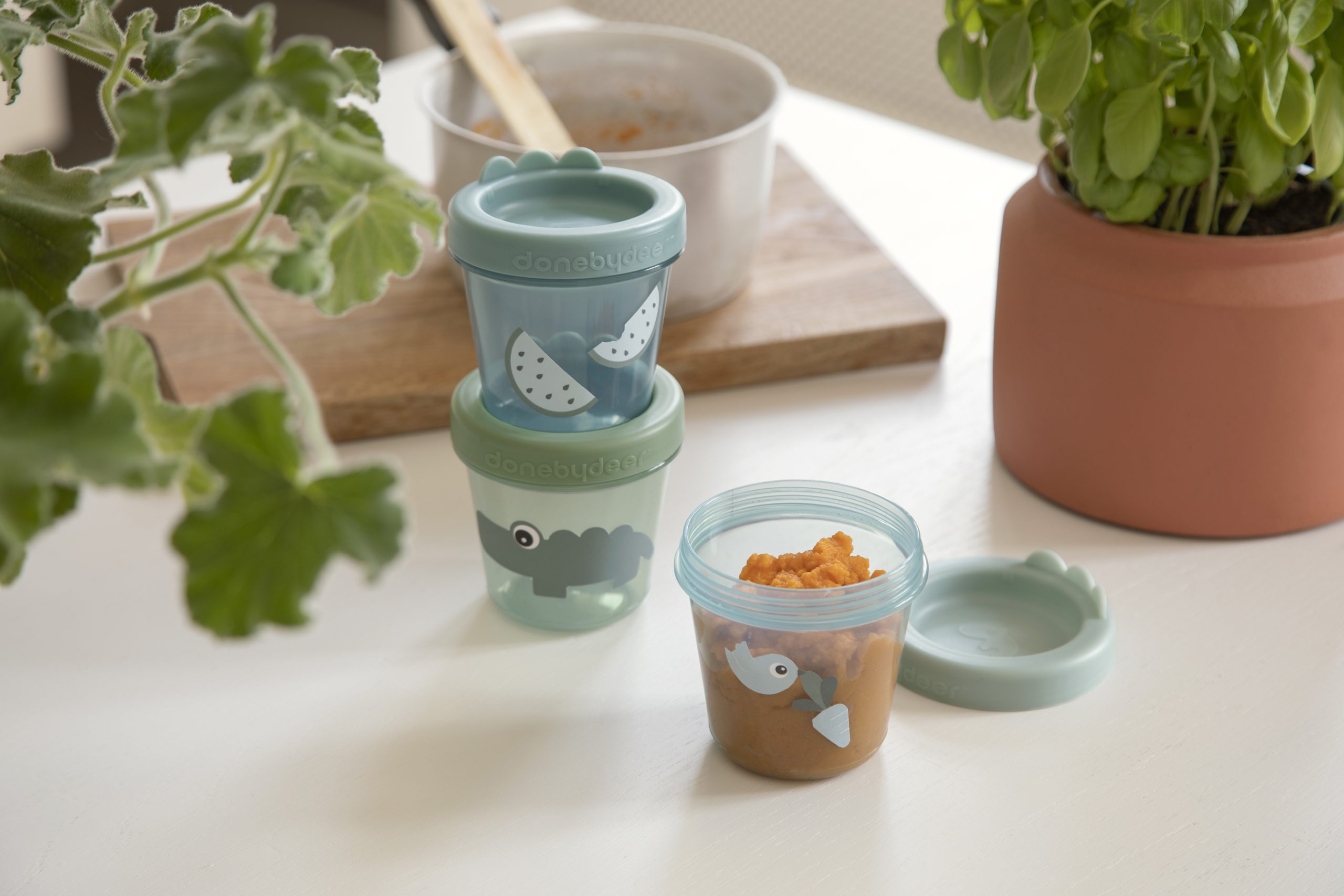 Pots de conservation set de 3 Croco - Vert