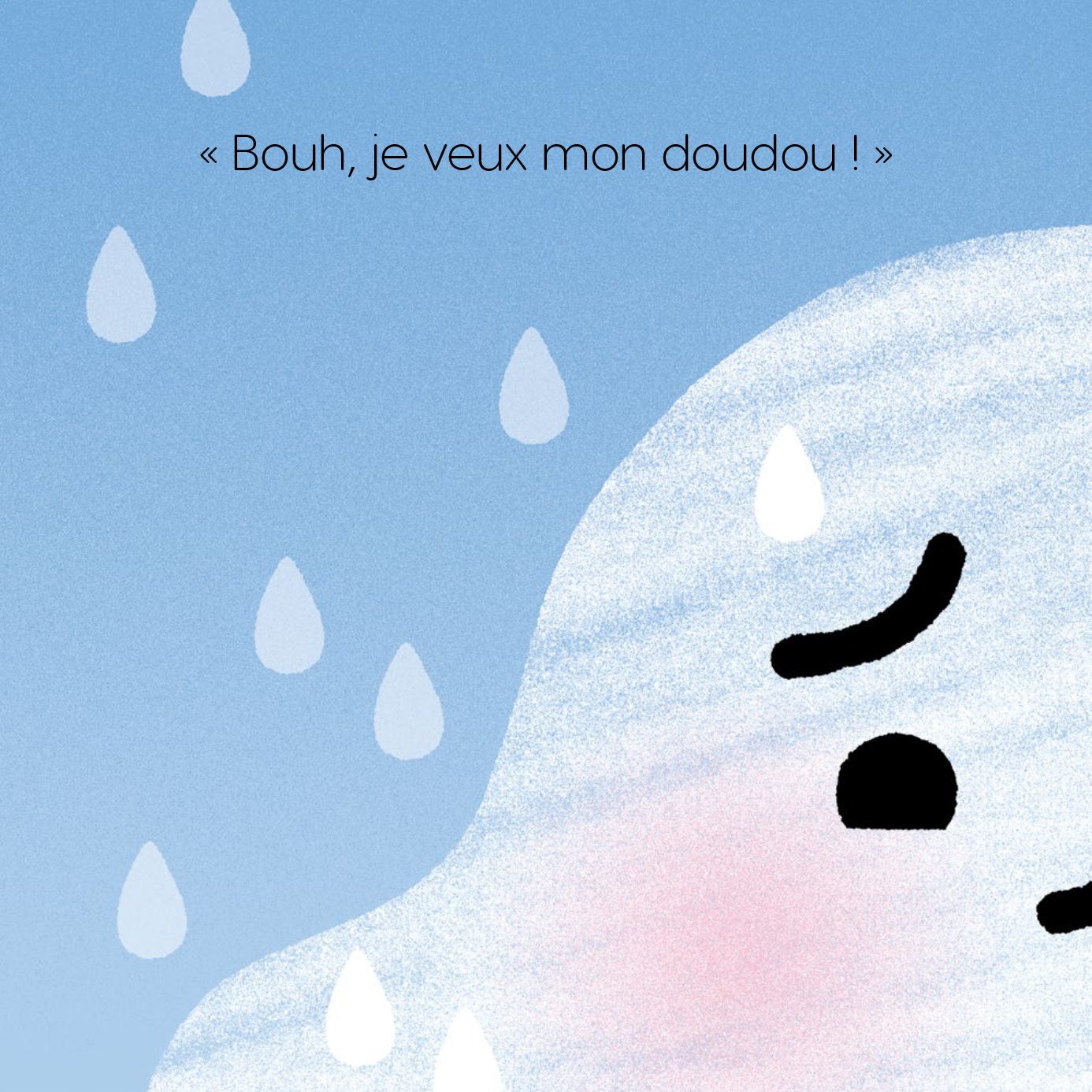 Livre - Petit Chagrin