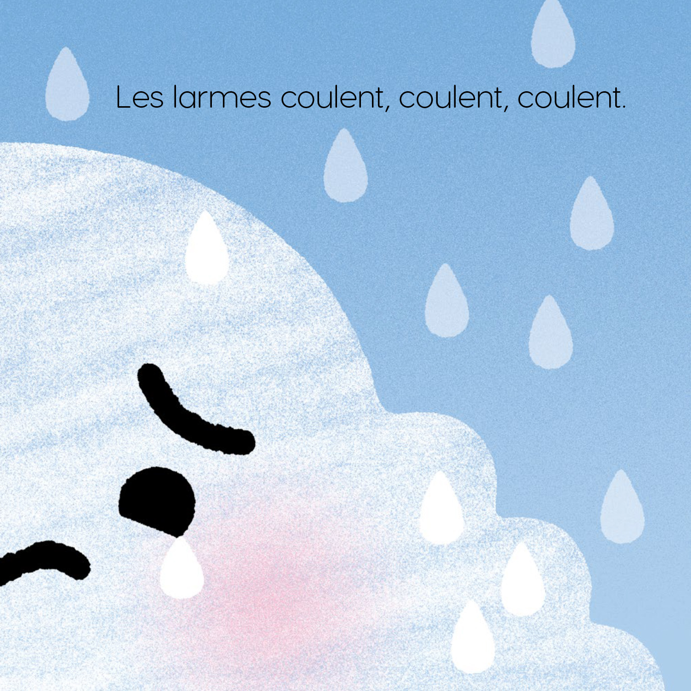 Livre - Petit Chagrin