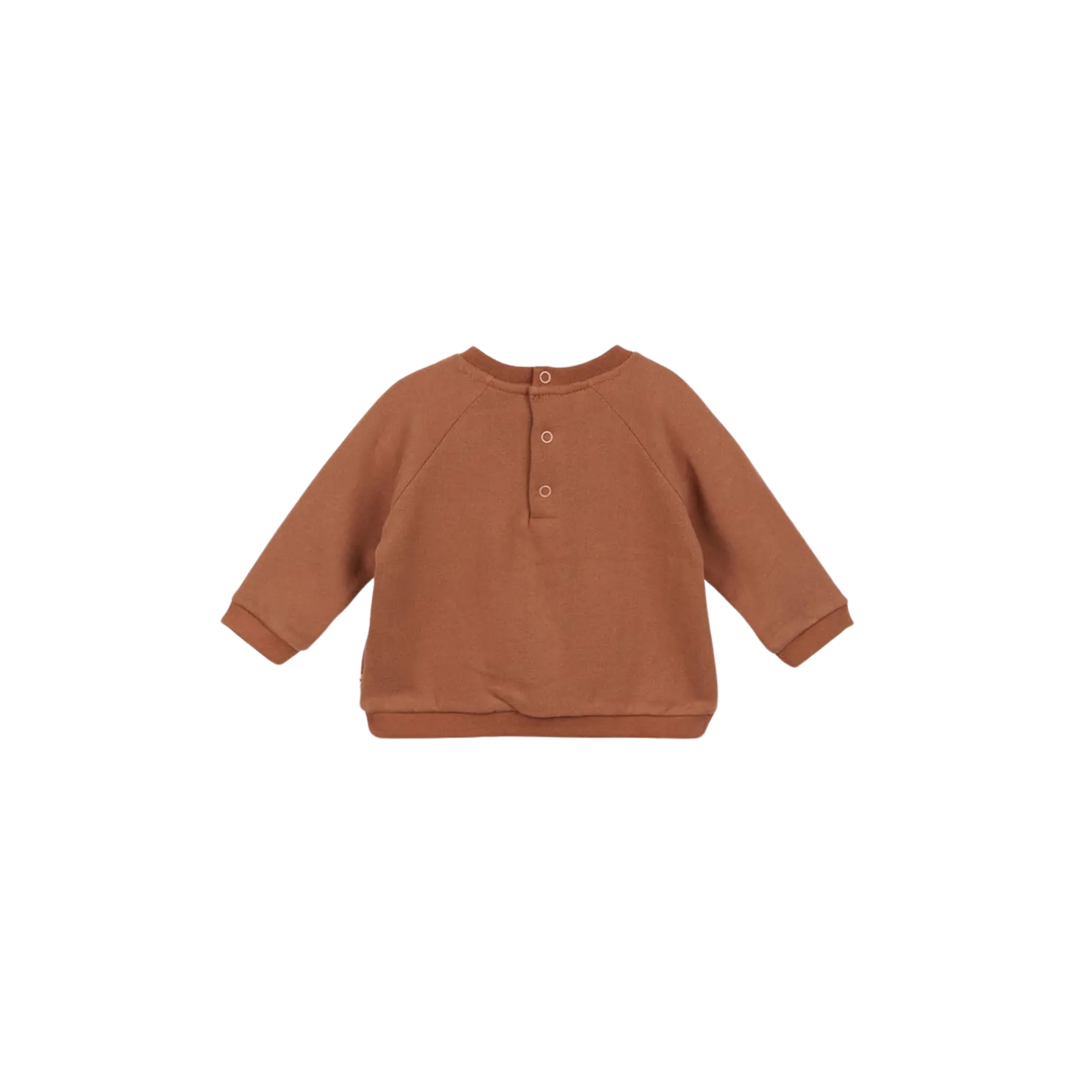 Sweat Eliot Raton Laveur - Marron - Arsène et les pipelettes Dos