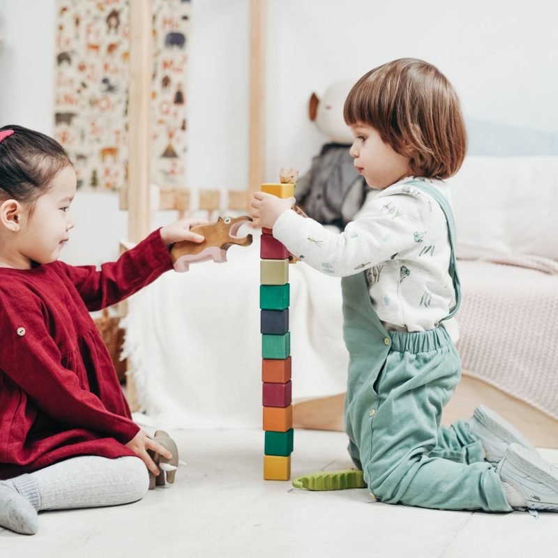 Deux jeunes enfants jouent ensemble avec des blocs de construction en bois, illustrant comment apprendre à un enfant à partager à travers le jeu.