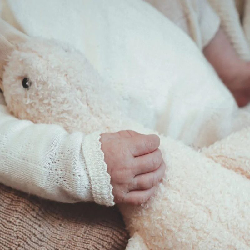 Main de bébé agrippant une peluche bruit blanc en forme d’oie